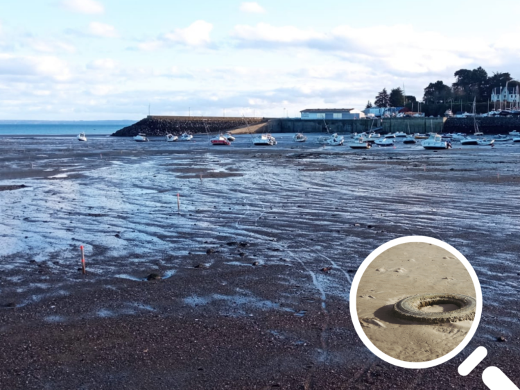 saint quay portrieux travaux port échouage pneus jantes sable blocs de béton