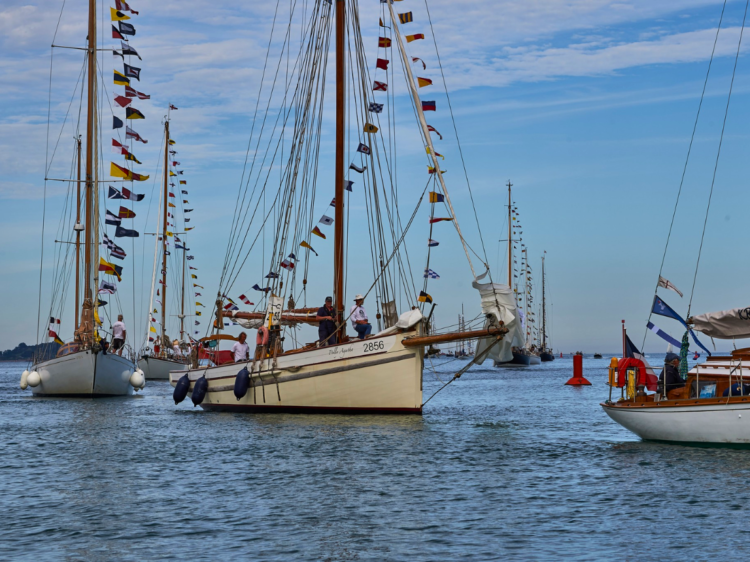 port paimpol bateaux classiques channel regatta